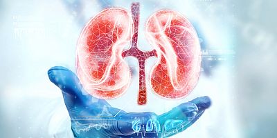 Her 4 beyin ölümünden sadece 1’inde organ bağışı yapılıyor!