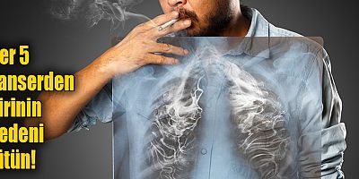 Her 5 kanserden birinin nedeni tütün!