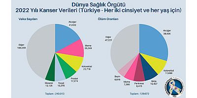 Her 5 ölümden biri kanserden...