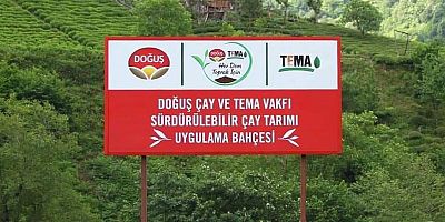 ‘Her Dem Toprak İçin ’projesi ile çay bahçelerinde toprak sağlığı iyileşiyor, verim artıyor!