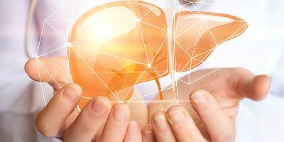 Her yıl yaklaşık 500 çocuk karaciğer nakli bekliyor