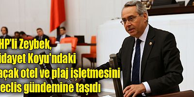 Hidayet Koyu'ndaki kaçak otel ve plaj işletmesi Meclis gündeminde