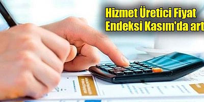 Hizmet Üretici Fiyat Endeksi Kasım'da arttı