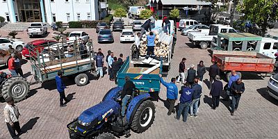 Hortumdan zarar gören Demreli üreticilere naylon desteği