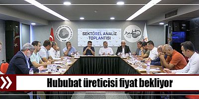 Hububat üreticisi fiyat bekliyor