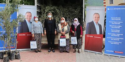 İbradı’da zeytin ve defne fidesi dağıtıldı