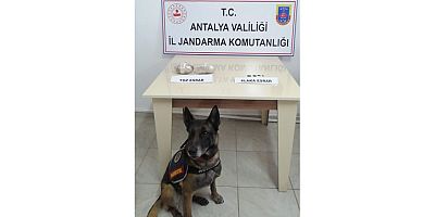 İç çamaşırında uyuşturucu yakalanan şüpheli gözaltına alındı