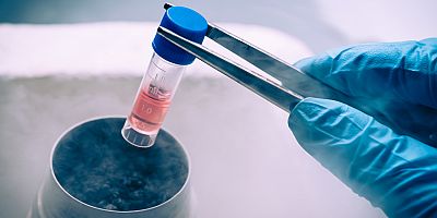 İdrar kaçırma tedavisinde kök hücre için daha çok araştırmaya ihtiyaç var