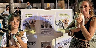 İki konserde 15 can dostumuz sahiplendirildi