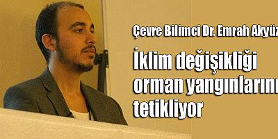 İklim değişikliği orman yangınlarını tetikliyor