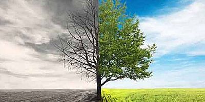 İklim Değişikliğine Karşı ÇEVKO Vakfı – EGD İşbirliği