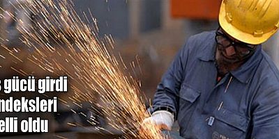 İş gücü girdi endeksleri belli oldu