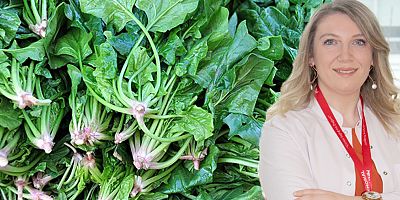 Ispanağı sağlıklı tüketmenin 6 kuralı