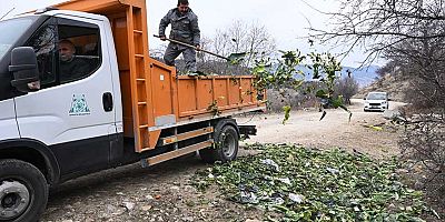 Isparta Belediyesi, soğuk kış günlerinde yaban hayvanlarını unutmuyor