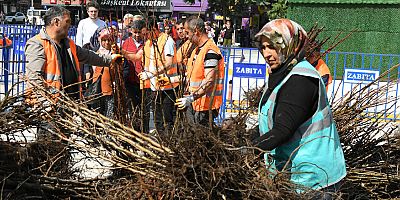 Isparta Belediyesinin dağıttığı fidan sayısı 72 bine ulaştı