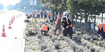 Isparta gülün yanı sıra lavanta ile bezeniyor