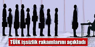 TÜİK'e göre işsizlik oranı %13,2 seviyesinde gerçekleşti