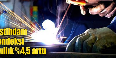 İstihdam endeksi yıllık %4,5 arttı