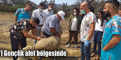 İYİ Gençlik afet bölgesinde