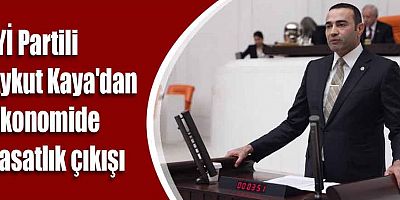 İYİ Partili Kaya'dan ekonomide vasatlık çıkışı