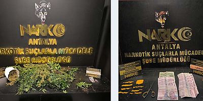 İzinsiz Kenevir Bitkisi Yetiştirmek suçundan; 1 şüpheli şahıs yakalandı