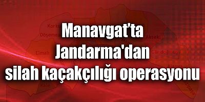 Jandarma'dan silah kaçakçılığı operasyonu