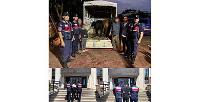 Jandarma Dedektifleri (JASAT) Tarafından Hayvan Hırsızlığı Olayı aydınlatıldı