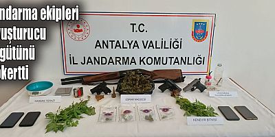 Jandarma ekipleri uyuşturucu örgütünü çökertti