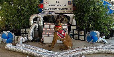 Jandarma uyuşturucu tacirlerine geçit vermiyor