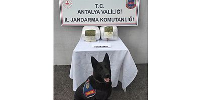 Jandarma yolcu bavulunda 11 kilo esrar ele geçirdi