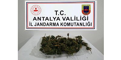 Jandarmadan uyuşturucu operasyonu