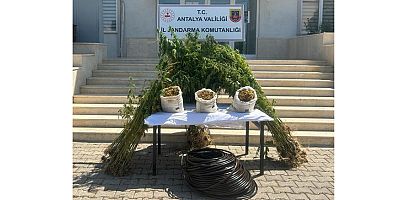 Jandarmadan uyuşturucu operasyonu