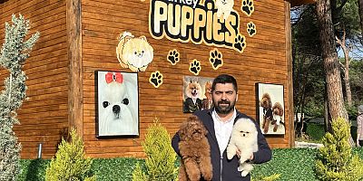 Kaçak yollarla yurt dışından getirilen köpeklerde sağlık sorunları ortaya çıkıyor