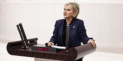 Kadın Cinayetleri Araştırılsın Önergesine TBMM’de Ret