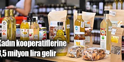 Kadın kooperatiflerine 3,5 milyon lira gelir