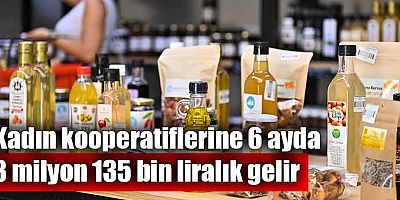 Kadın kooperatiflerine 6 ayda 3 milyon 135 bin liralık gelir