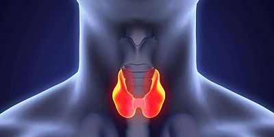 Kadınlar erkeklere oranla 8 kat daha fazla risk altında