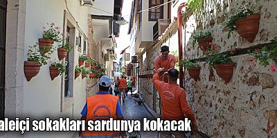 Kaleiçi sokakları sardunya kokacak