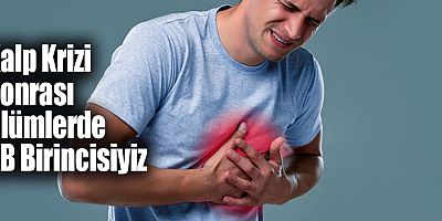 Kalp Krizi Sonrası Ölümlerde AB Birincisiyiz 