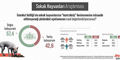 Kamuoyunun Yüzde 57’si “Kontrolsüz Besleme” Yasağını Doğru Buluyor