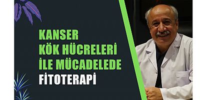 Kanser kök hücreleri ile mücadelede fitoterapi