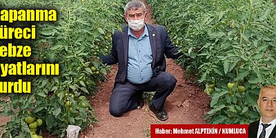 Kapanma süreci sebze fiyatlarını vurdu