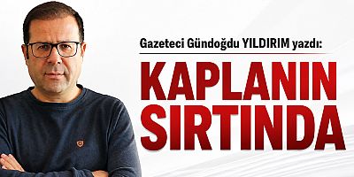 KAPLANIN SIRTINDA