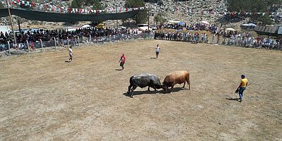 Karagöl Yayla Şenlikleri Folklorik Boğa gösterileri