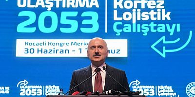 Karaismailoğlu: Mavi Vatan'daki taşımacılık payımız artıyor