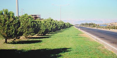 Karayolları fidanlarla yeşilleniyor