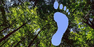 Karbon ayak izini sıfırlayan kripto projesi geliştirildi!