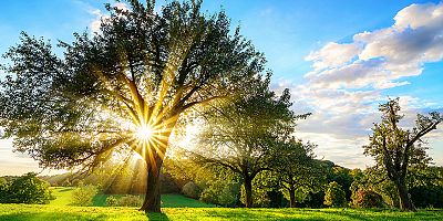 Karbonsuz ekonomi için ilk adım enerji verimliliğinden geçiyor