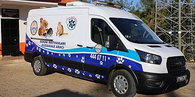 Kaş Belediyesi Sokak Hayvanları Müdahale Aracı hizmette