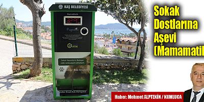 Kaş’ta, sokak hayvanları için mamamatik hizmeti